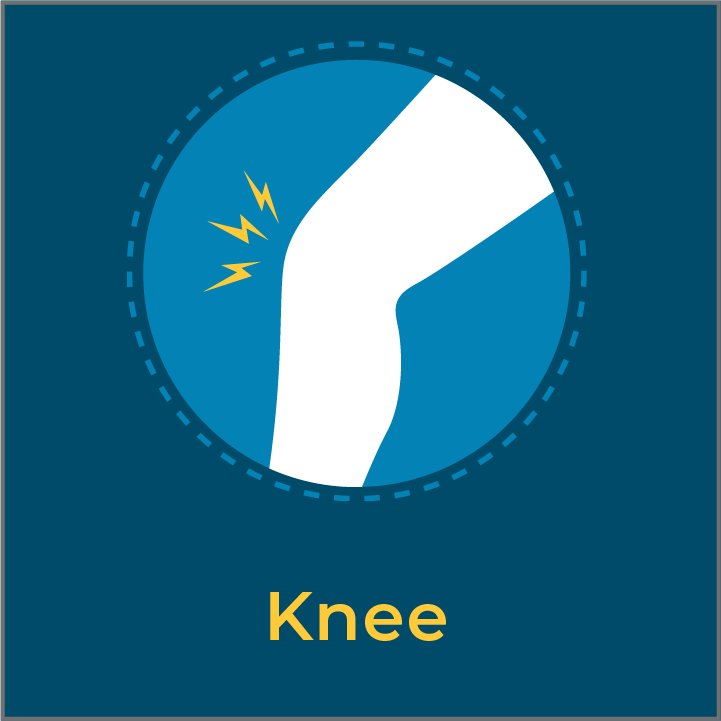Knee@4x