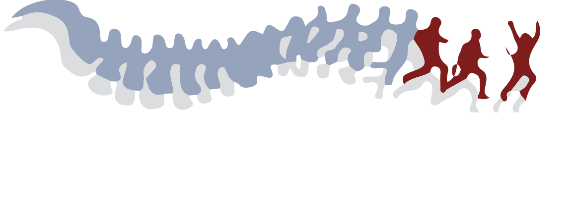 The Chiropractic Source